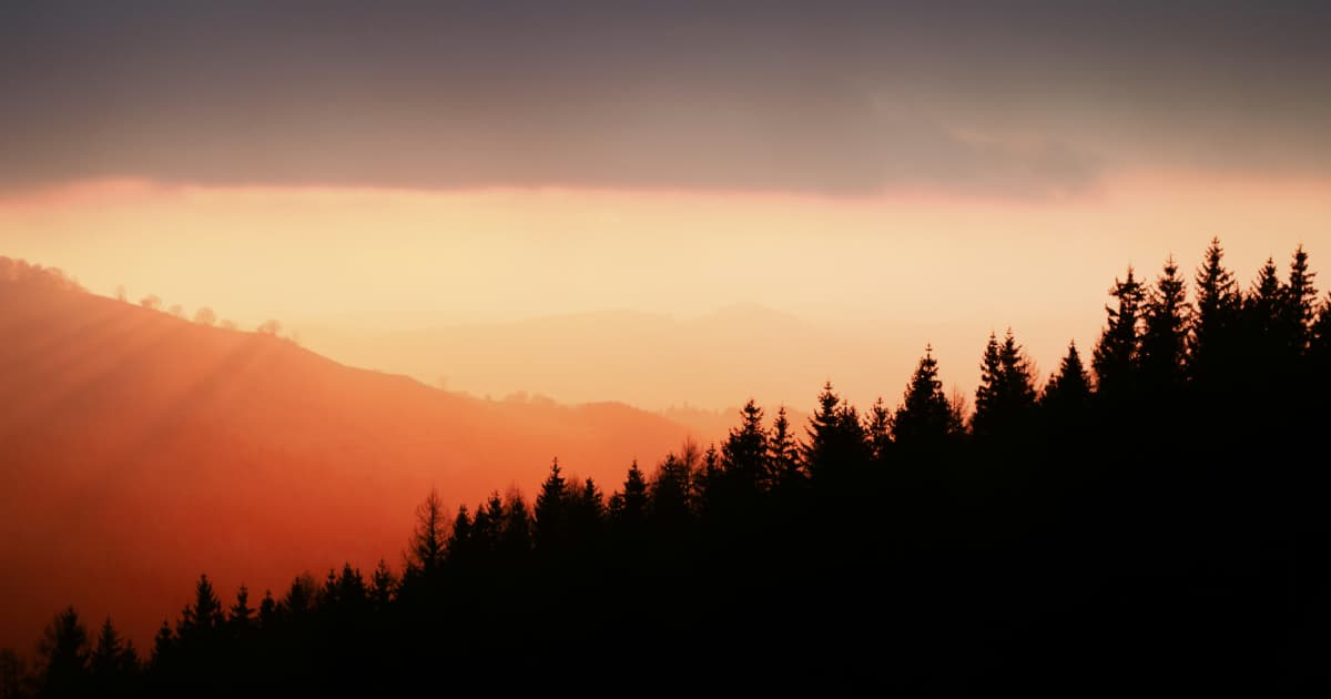 Spiritual Healer Eve Wilson Expands Offerings to Support Global Consciousness Shift