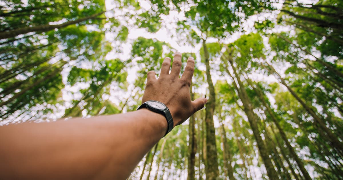 HWPL World Peace Summit Achieves Major Progress in International Law, Education, and Interfaith Dialogue