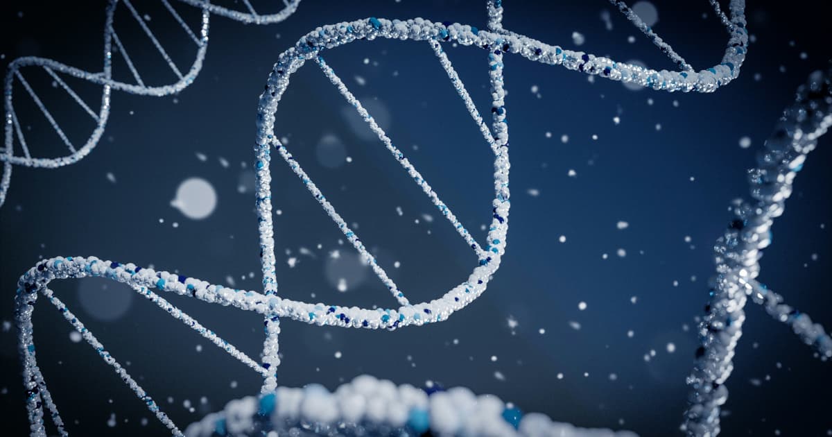 Bronco Resources Appoints New CEO Amid Focus on Gold Exploration